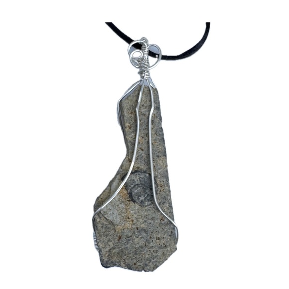 Ammonite Fossil Wire Wrapped Pendant Necklace